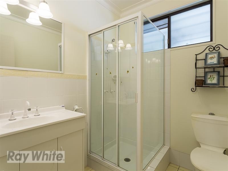 48 Pavo Street, Camp Hill QLD 4152