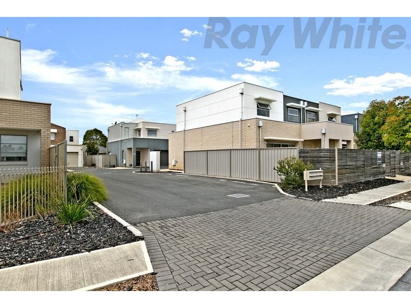 19 Byrness Avenue, Devon Park SA 5008