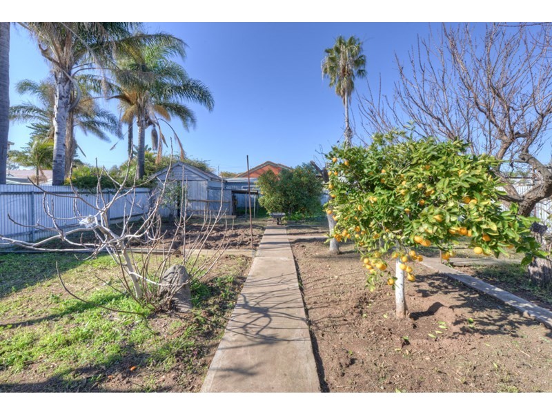 11 Botting Street, Albert Park SA 5014