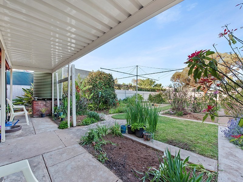 113 Coombe Road, Allenby Gardens SA 5009