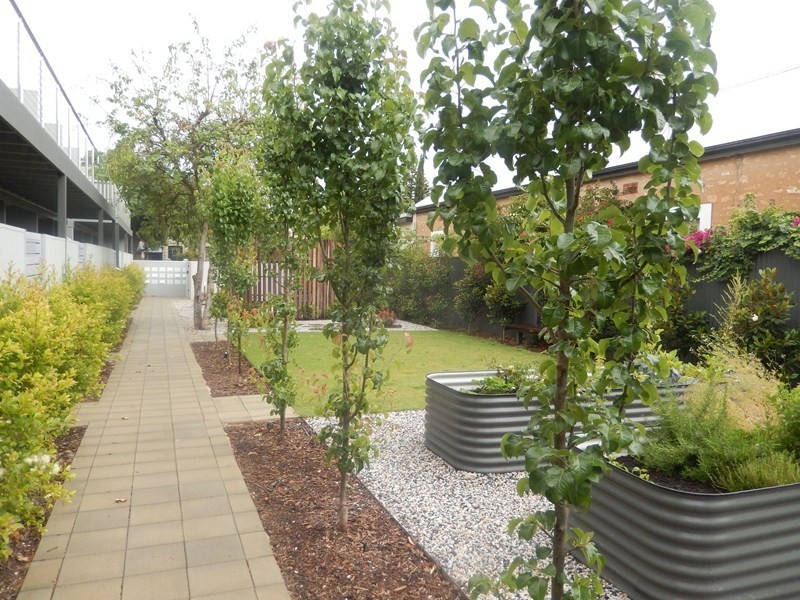 10/61 Childers Street, North Adelaide SA 5006