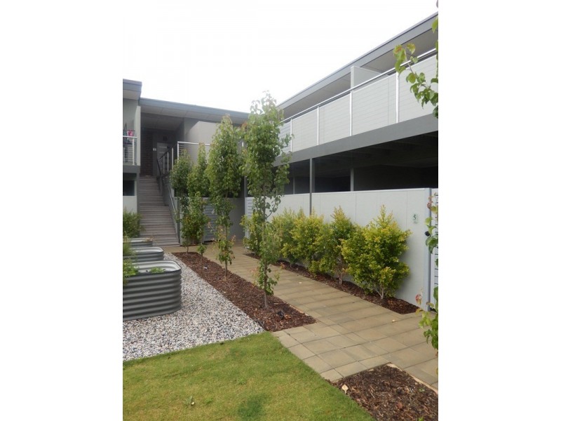 10/61 Childers Street, North Adelaide SA 5006