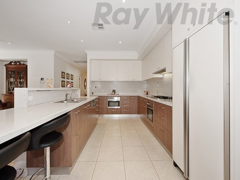 19 Mercurio Drive, Flinders Park SA 5025