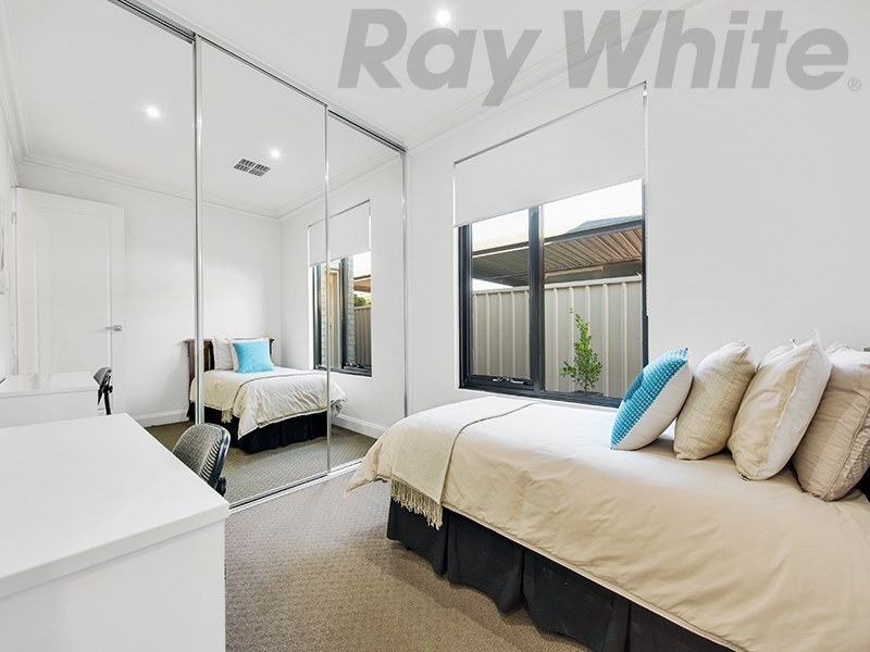 27 Shelley Avenue, Netley SA 5037