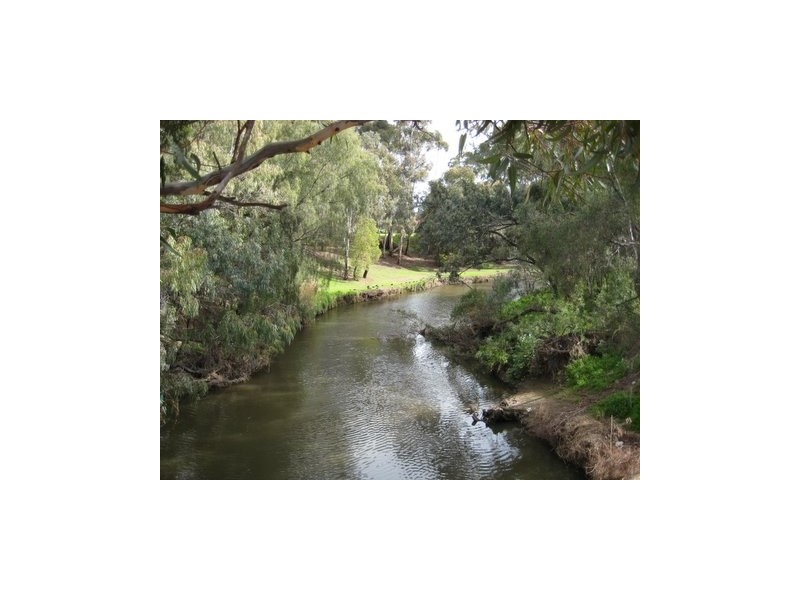 8 Prettejohn Court, Lockleys SA 5032