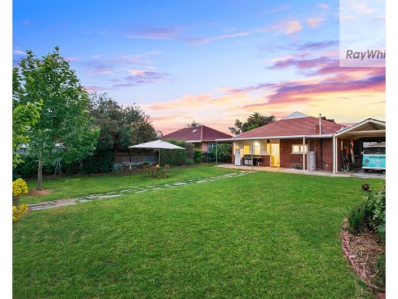 7 Shirley Avenue, Croydon Park SA 5008