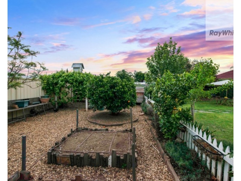 7 Shirley Avenue, Croydon Park SA 5008