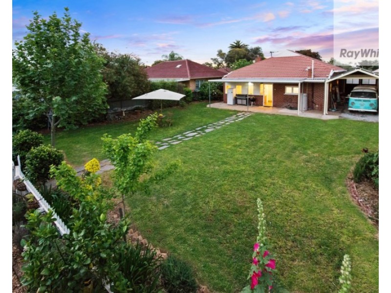 7 Shirley Avenue, Croydon Park SA 5008