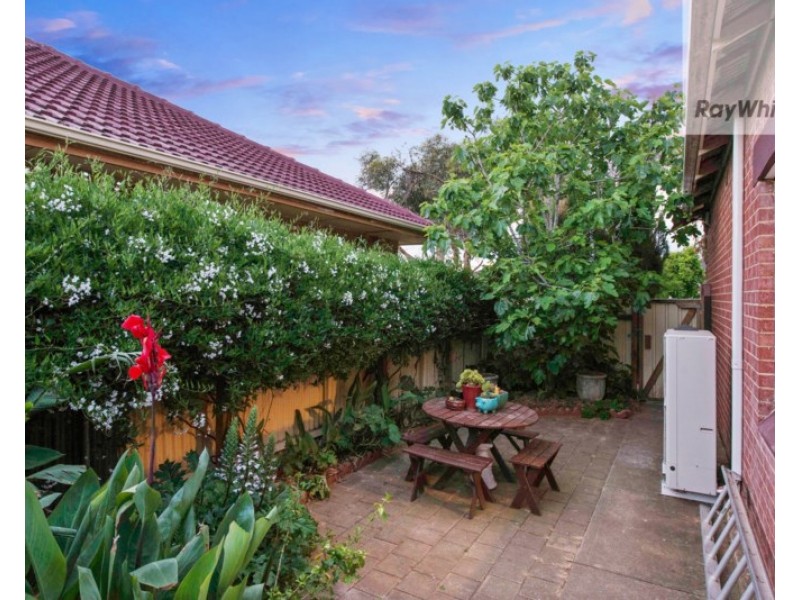 7 Shirley Avenue, Croydon Park SA 5008