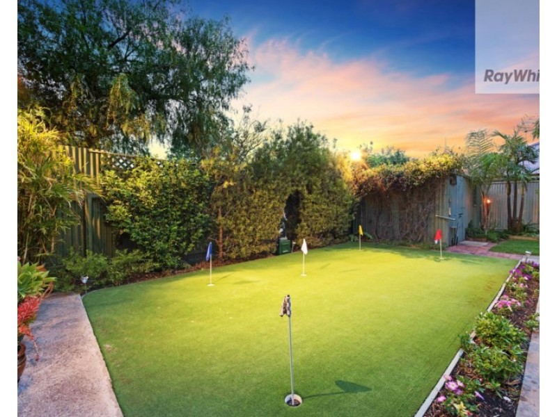 14 Welland Avenue, Welland SA 5007