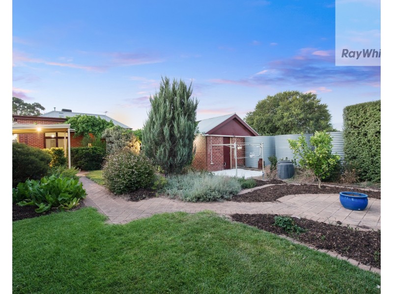 41 Thomas Street, Croydon SA 5008