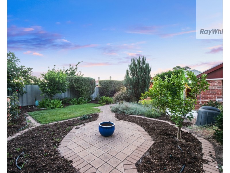 41 Thomas Street, Croydon SA 5008