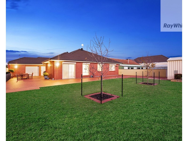 16 Pioneer Street, Seaton SA 5023