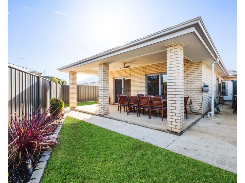 31 Cardiff Street, Woodville West SA 5011