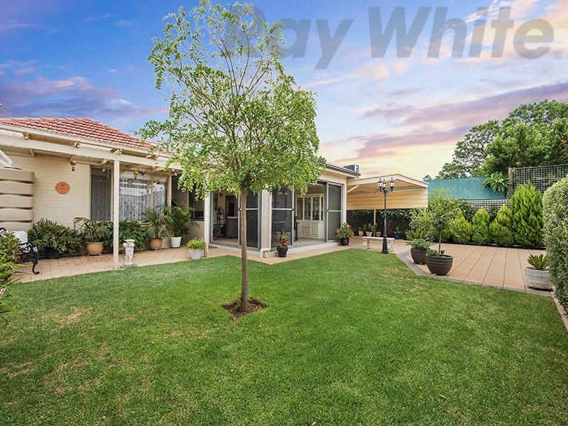 31 Scotia Street, West Croydon SA 5008