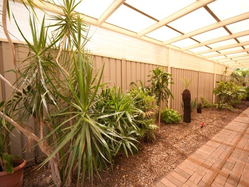 15 Boswarva Avenue, Plympton SA 5038