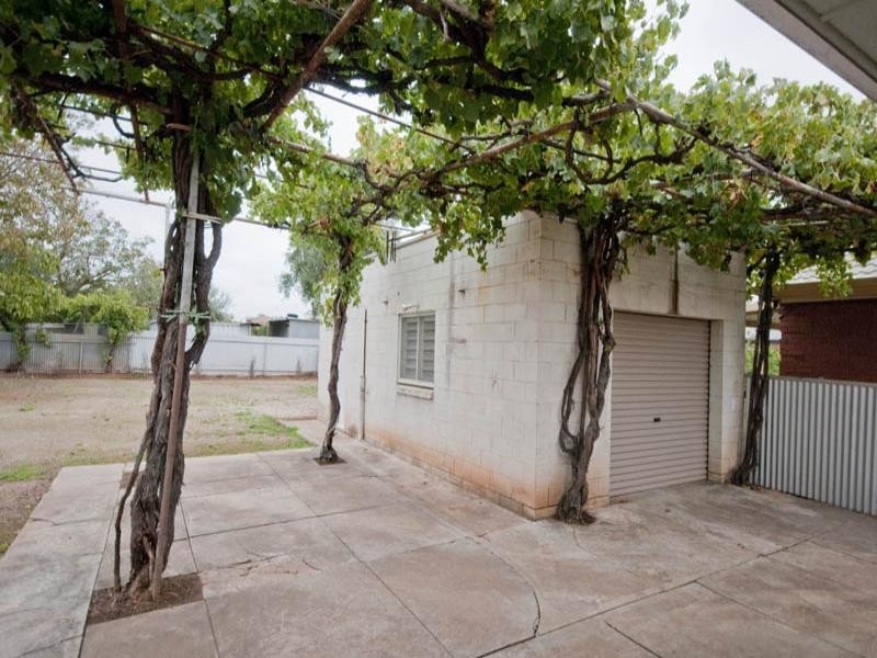 28 South Street, Hectorville SA 5073