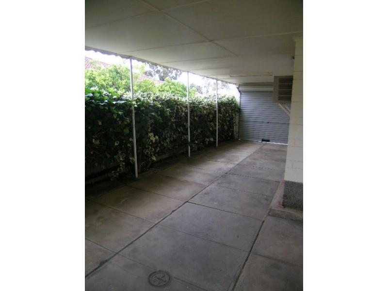 19 Sampson Road, Mitchell Park SA 5043