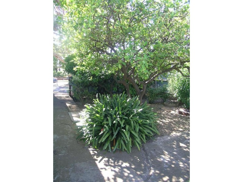 45 Sheridan Street, Woodville North SA 5012