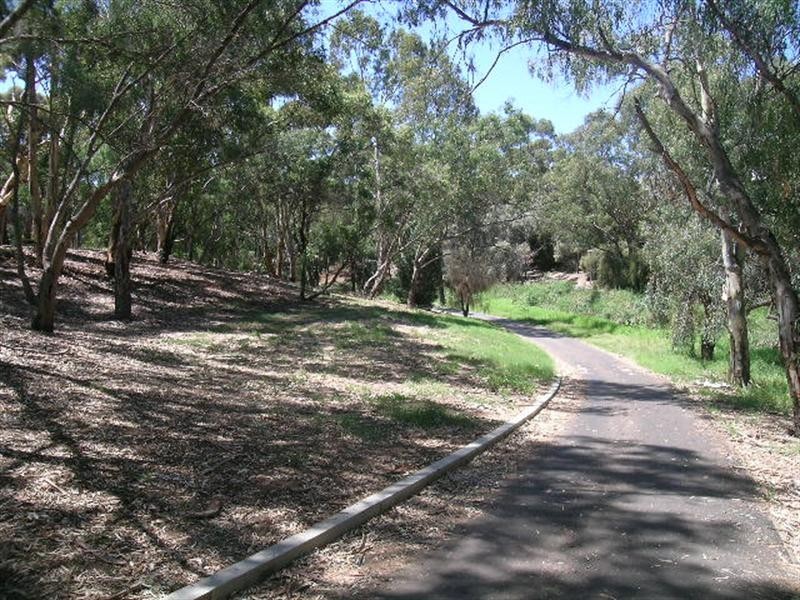 14 Tracey Avenue, Flinders Park SA 5025