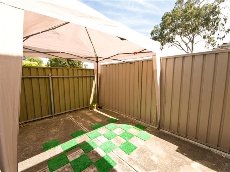 52 Collingwood Avenue, Flinders Park SA 5025