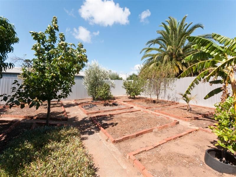 65 Hurtle Street, West Croydon SA 5008