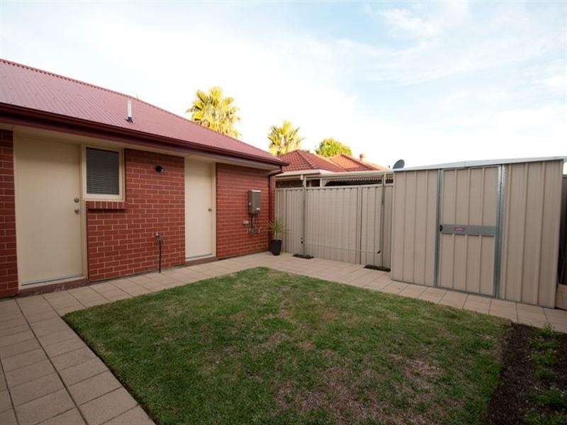 53 Whelan Avenue, Camden Park SA 5038