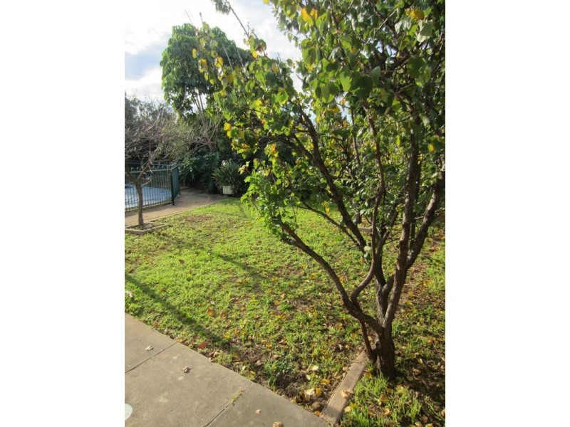 3 Florence Street, Woodville SA 5011