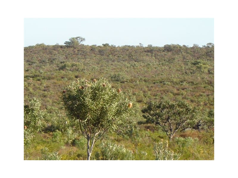 Lot 296 Sulina Crescent, Jurien Bay WA 6516