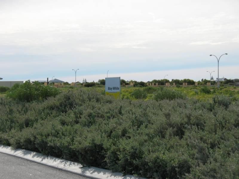 Lot 984, 107 Beachridge Drive, Jurien Bay WA 6516