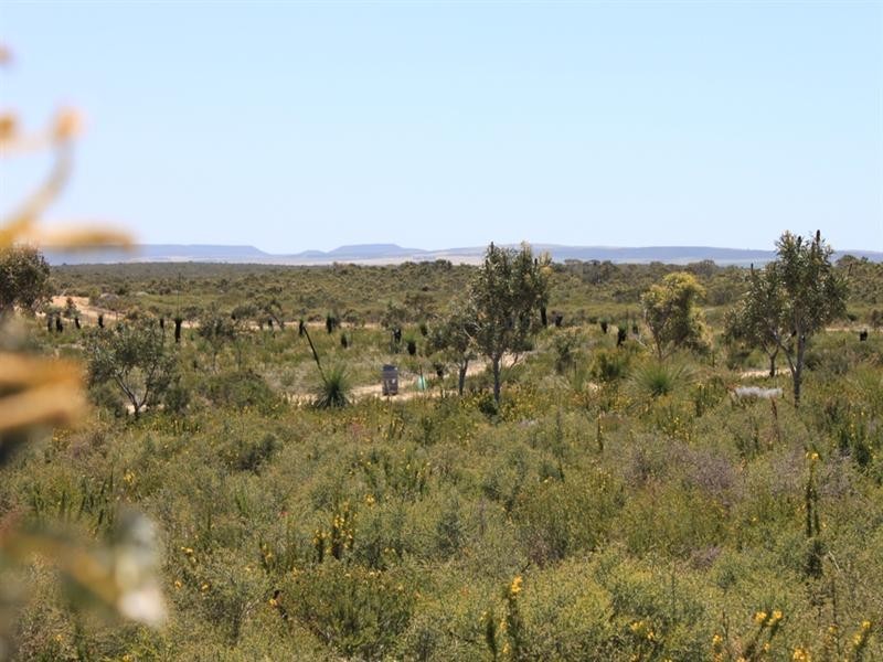 Lot 288 Sulina Crescent, Jurien Bay WA 6516