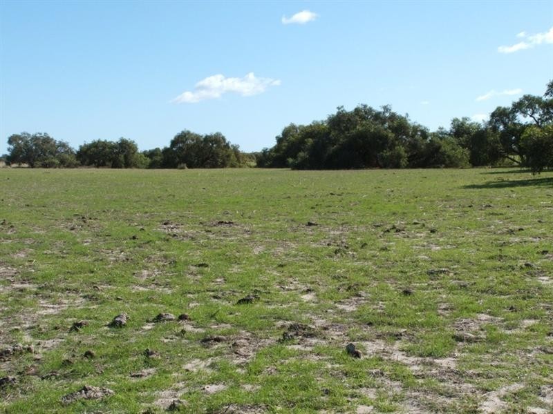 Lot 512 Cockleshell Gully Road, Jurien Bay WA 6516