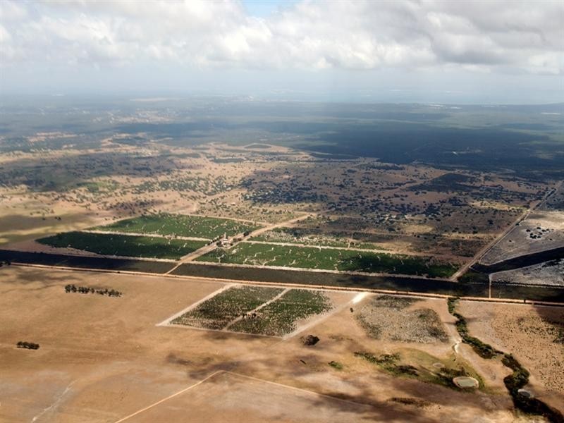 Lot 512 Cockleshell Gully Road, Jurien Bay WA 6516