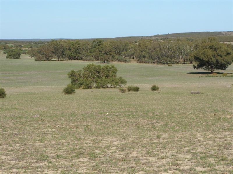 Lot 512 Cockleshell Gully Road, Jurien Bay WA 6516