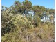 Lot 510 Cockleshell Gully Road, Jurien Bay WA 6516
