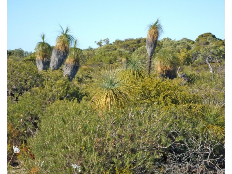 Lot 510 Cockleshell Gully Road, Jurien Bay WA 6516