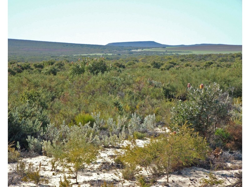 Lot 510 Cockleshell Gully Road, Jurien Bay WA 6516