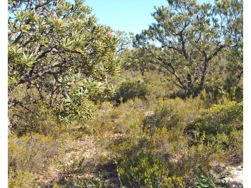 Lot 510 Cockleshell Gully Road, Jurien Bay WA 6516