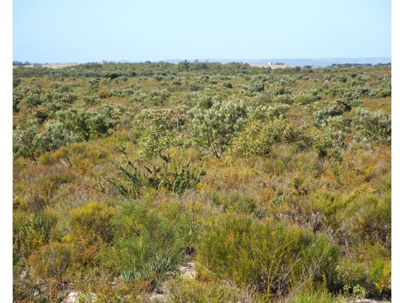 Lot 510 Cockleshell Gully Road, Jurien Bay WA 6516