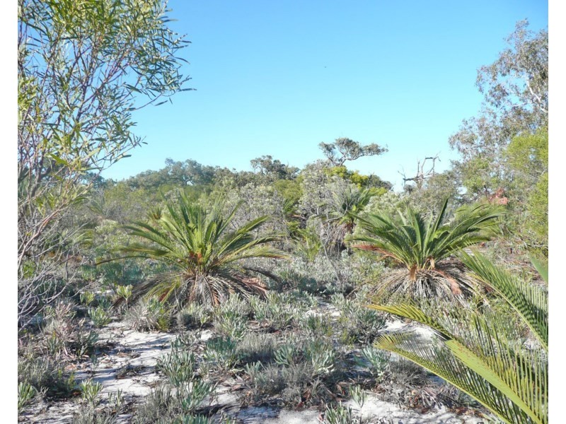 Lot 510 Cockleshell Gully Road, Jurien Bay WA 6516