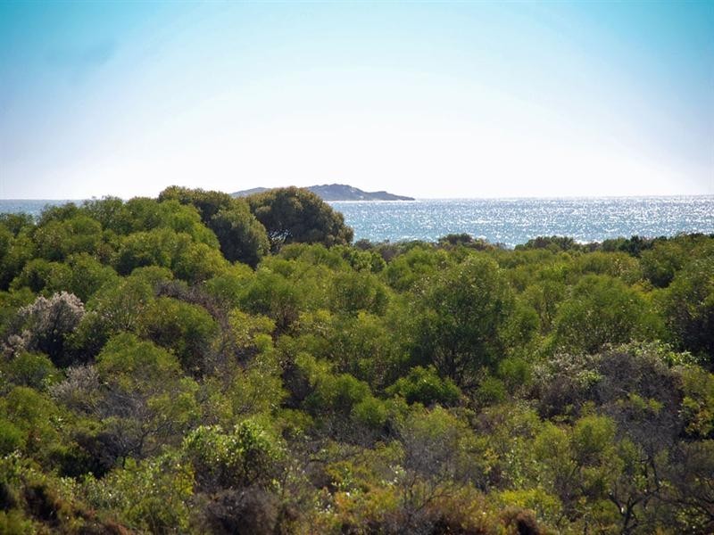 27B Coubrough Place, Jurien Bay WA 6516