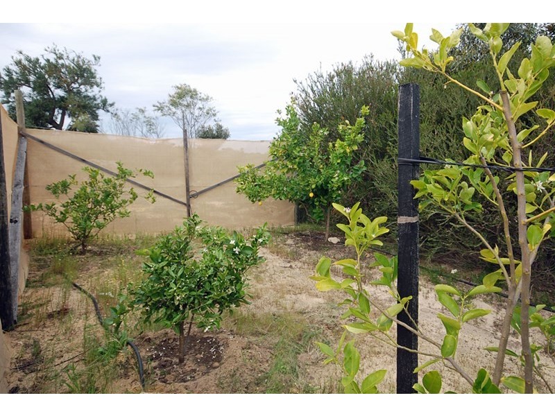 167 Sulina Crescent, Jurien Bay WA 6516