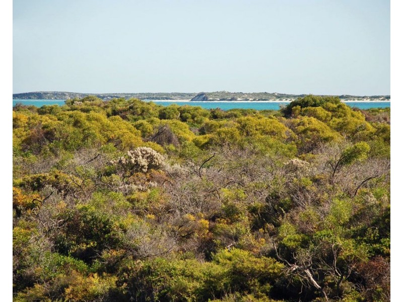 27B Coubrough Place, Jurien Bay WA 6516