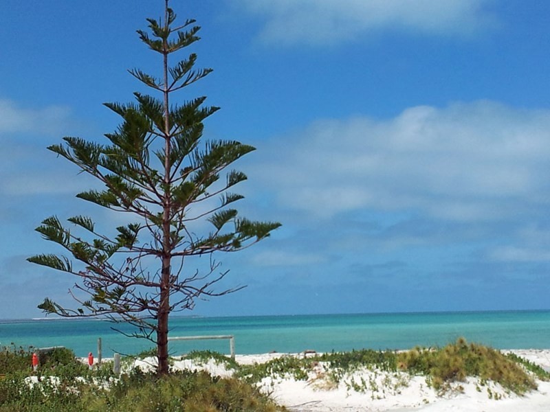 18 and 20 Cadiz Street, Cervantes WA 6511