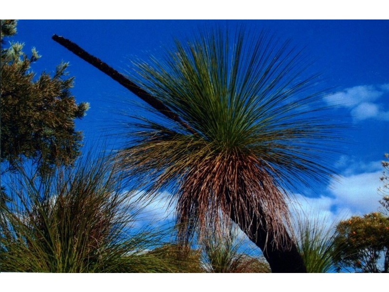 Lot 174 Valley View, Jurien Bay WA 6516