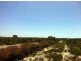 Lot 296 Sulina Crescent, Jurien Bay WA 6516