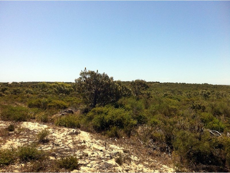 Lot 296 Sulina Crescent, Jurien Bay WA 6516