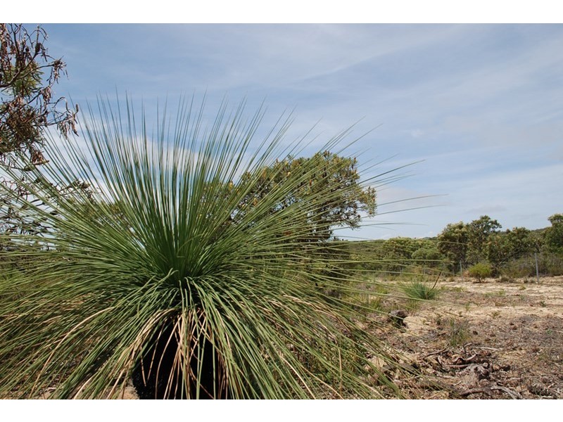 Lot 105 Jurien Bay Vista, Jurien Bay WA 6516