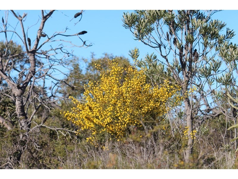 Lot 105 Jurien Bay Vista, Jurien Bay WA 6516