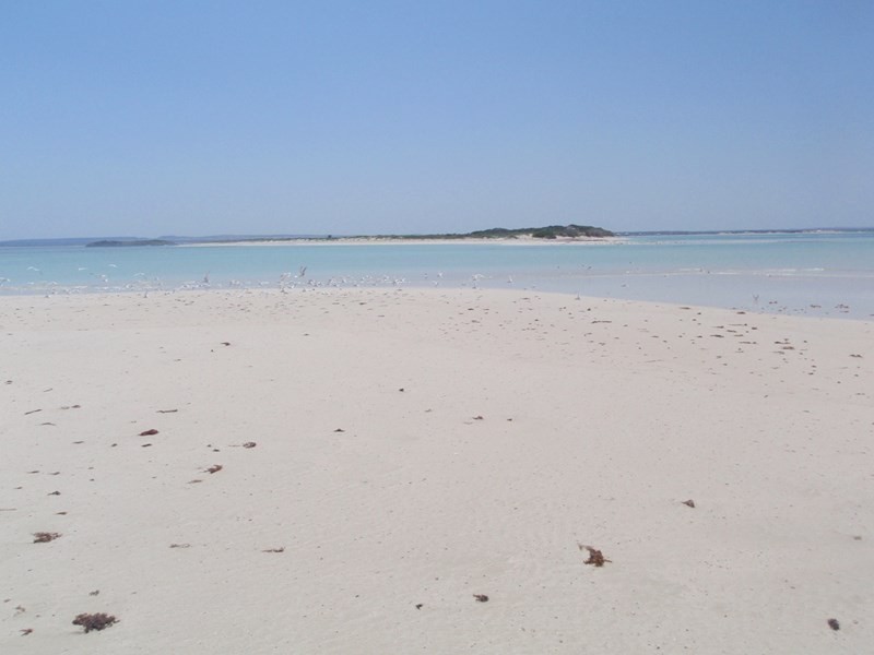 Lot 275, 18 Shearwater Drive, Jurien Bay WA 6516